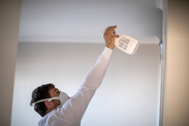 Best Residential Mold Removal  in Thomas, OK