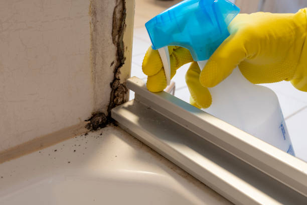  Thomas, OK Mold Removal Pros