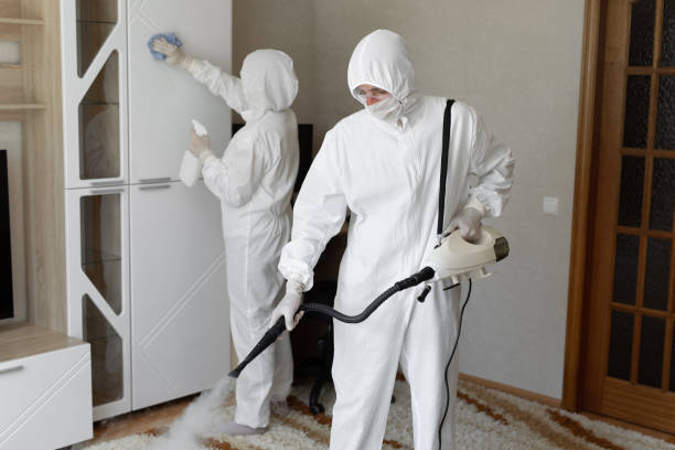Best Mold Testing  in Thomas, OK