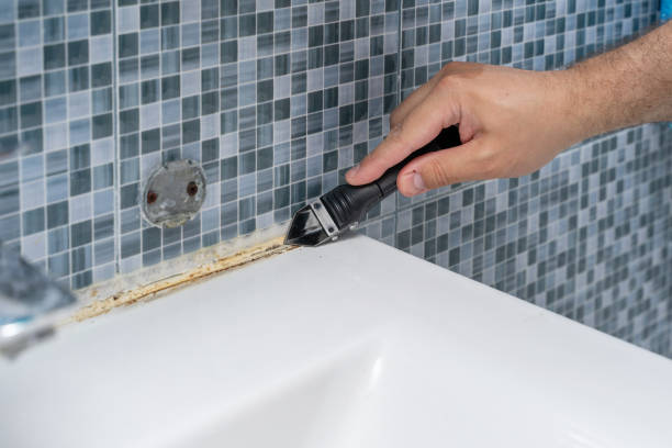 Best Commercial Mold Removal  in Thomas, OK