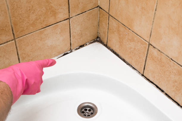 Best Crawl Space Mold Removal  in Thomas, OK